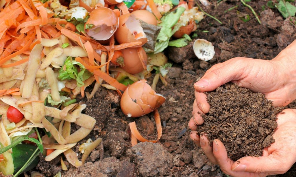 Compost Ecology Waste Garden - melGreenFR / Pixabay