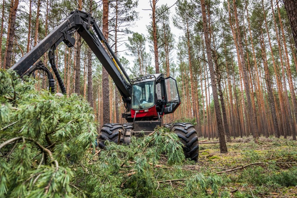 Forest Forestry Harvester Machine - mariohagen / Pixabay