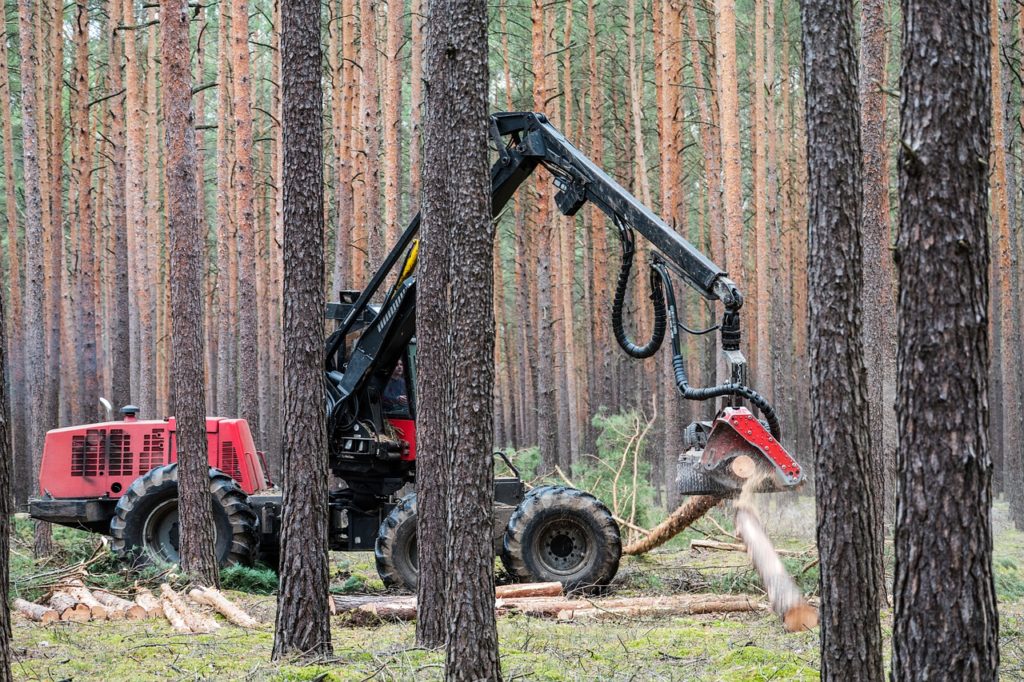 Forest Forestry Harvester Machine  - mariohagen / Pixabay