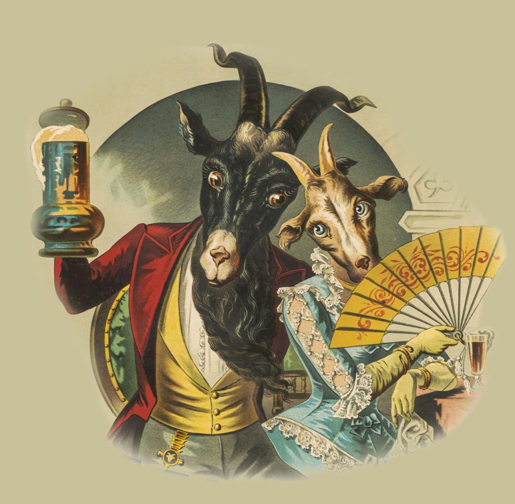 Goats Couple Beer Anthropomorphic  - squarefrog / Pixabay