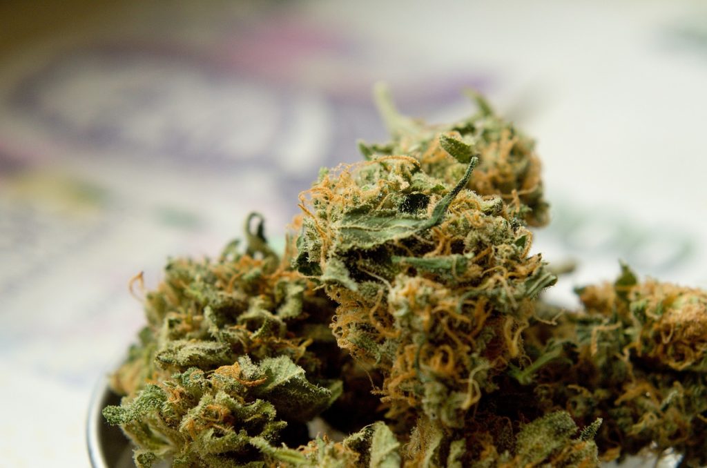 Marijuana Drugs Herb Hemp Ganja  - vjkombajn / Pixabay