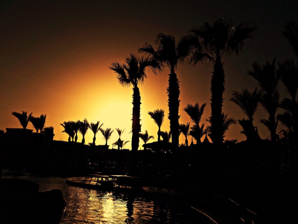 Palm Trees Sunset Evening Atmosphere  - Sabine_999 / Pixabay