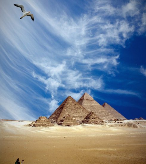 Pyramids Egypt Camel Bird Man  - flutie8211 / Pixabay