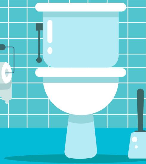 Toilet Toilet Bowl Lavatory  - HaticeEROL / Pixabay