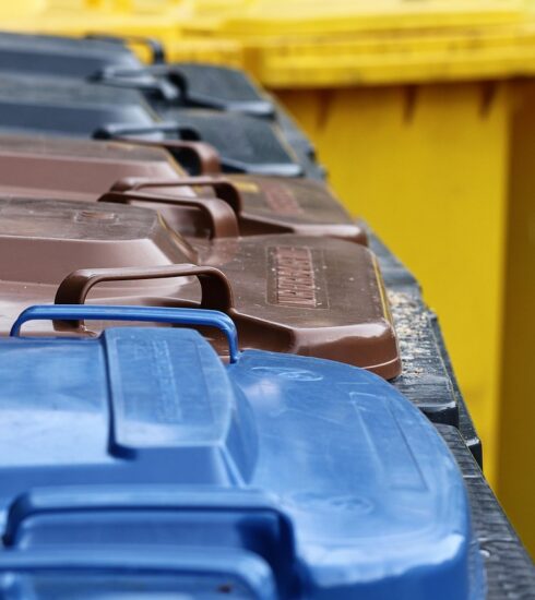 garbage cans, the garbage container, garbage disposal, brown ton, yellow bin, gray bin, blue tonne, germany, garbage, household waste, disposal, environmental protection, responsibility, waste separation, separate, garbage, garbage, garbage, garbage, garbage, household waste, waste separation