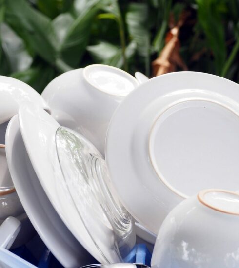 plate, wash, dish storage, dish drainer, container, wash the dishes, kitchen, plate, plate, plate, plate, plate, wash, wash, kitchen